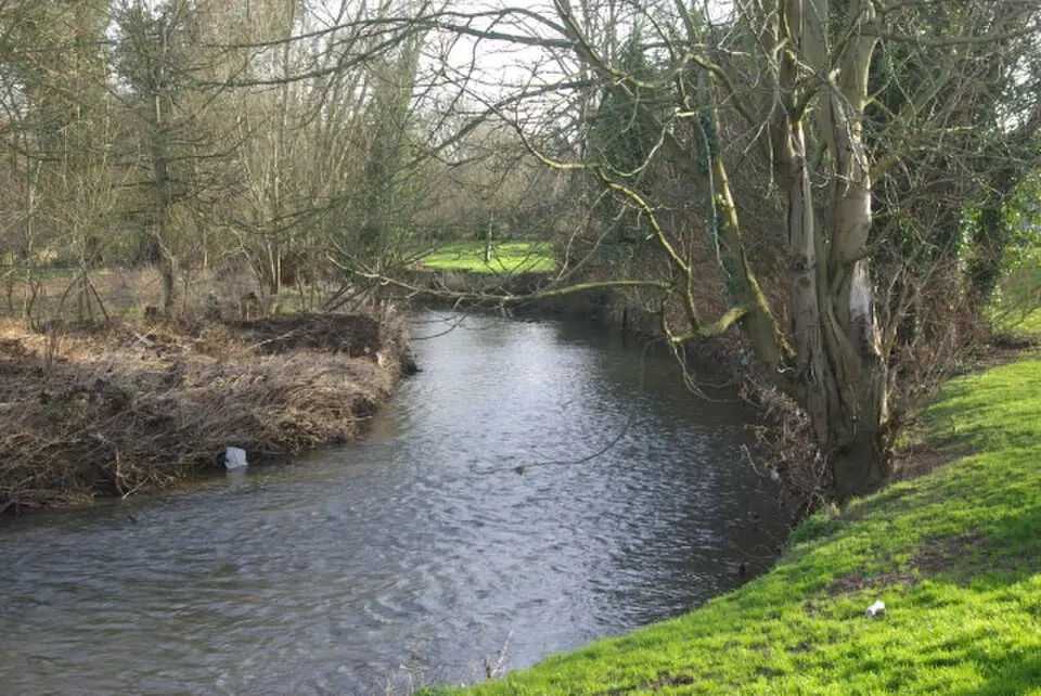 River Arrow