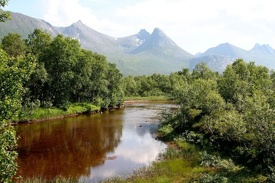 Forfjorden