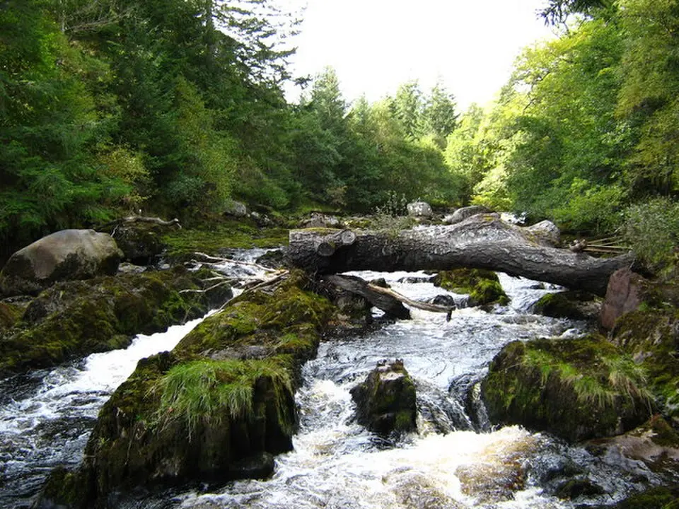 Kép: George Evans · CC BY-SA 2.0 River Averon
