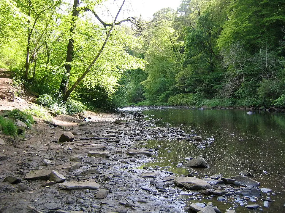 Avon Water
