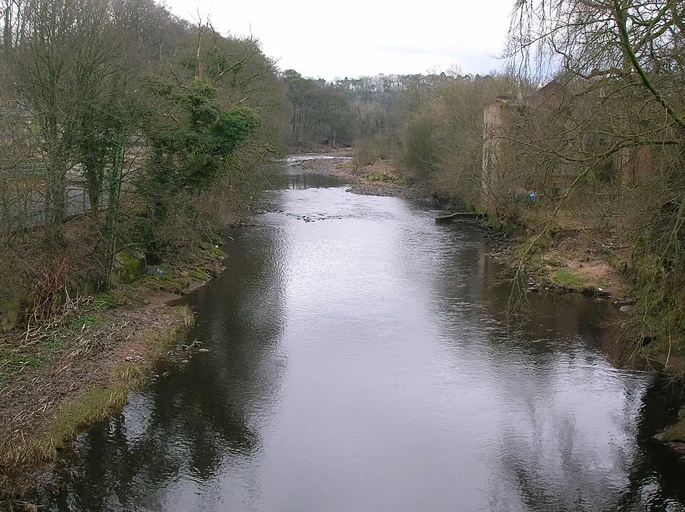 Ayr