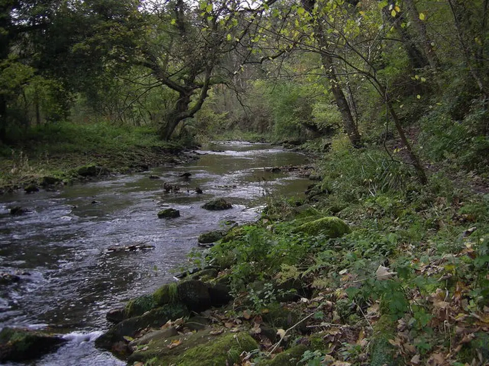 River Blyth