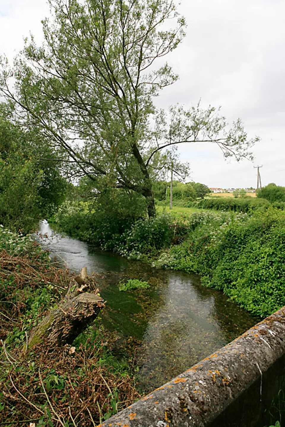 River Bourne