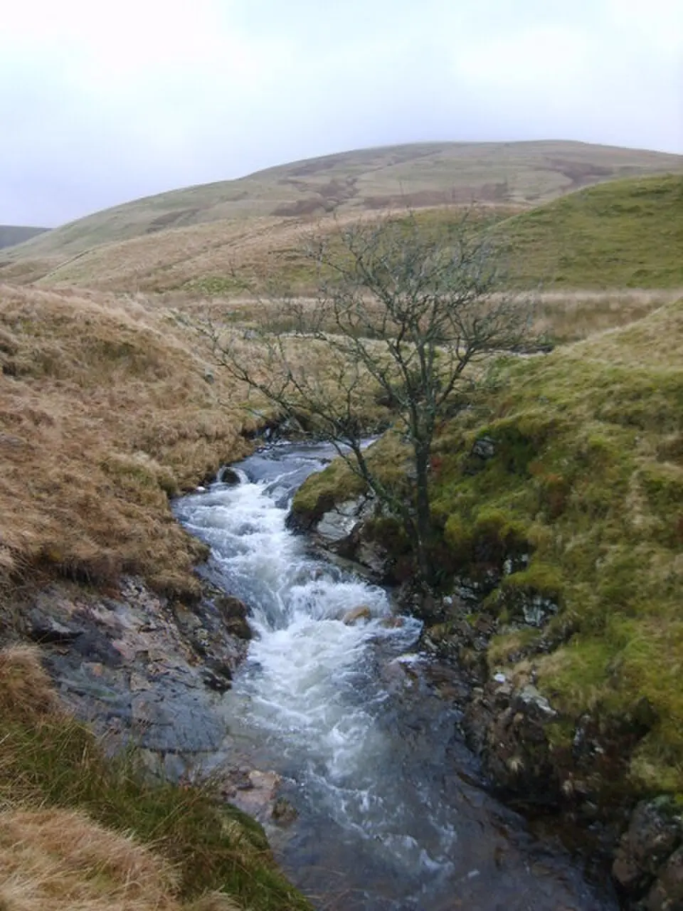 River Calder