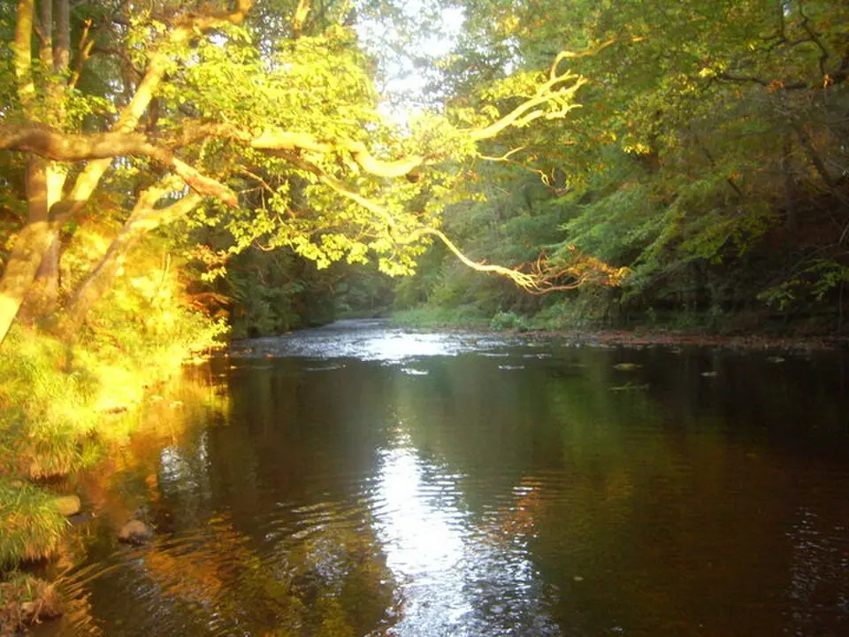 River Derwent