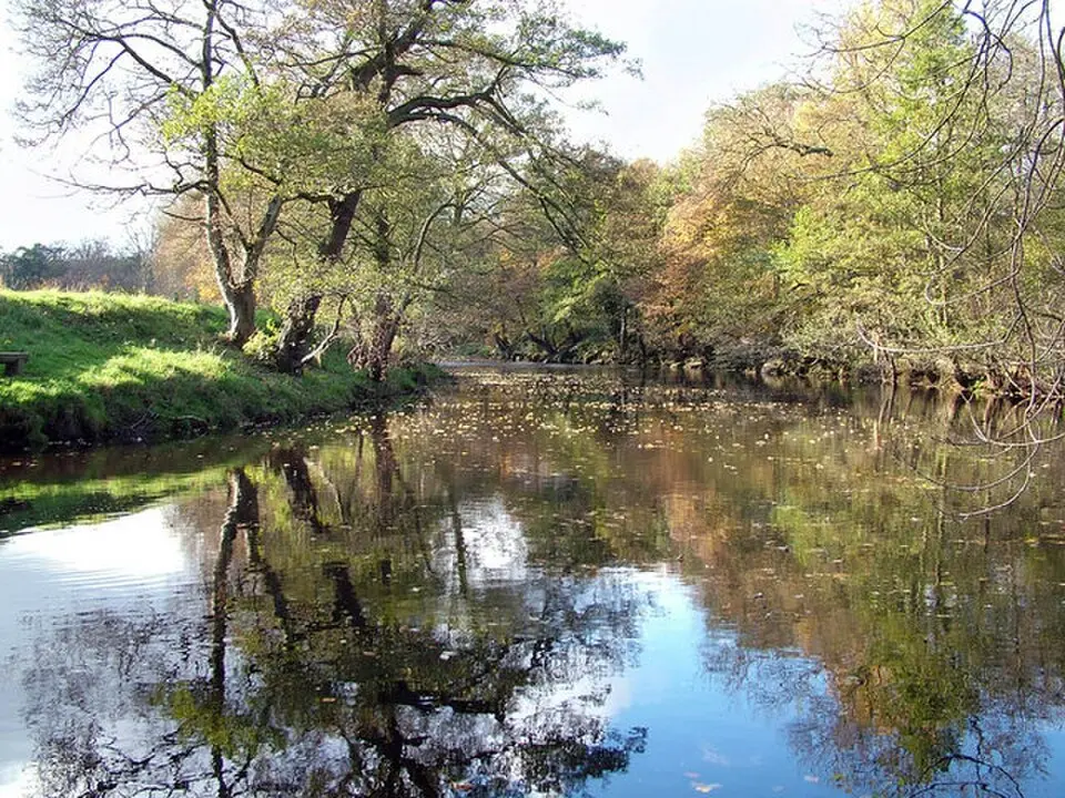 Derwent