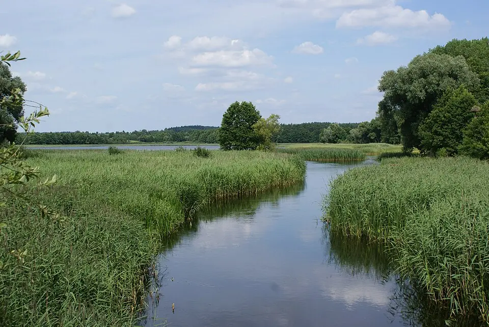 Ełk