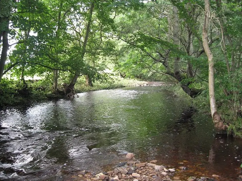 Image: Antonia · CC BY-SA 2.0 River Font