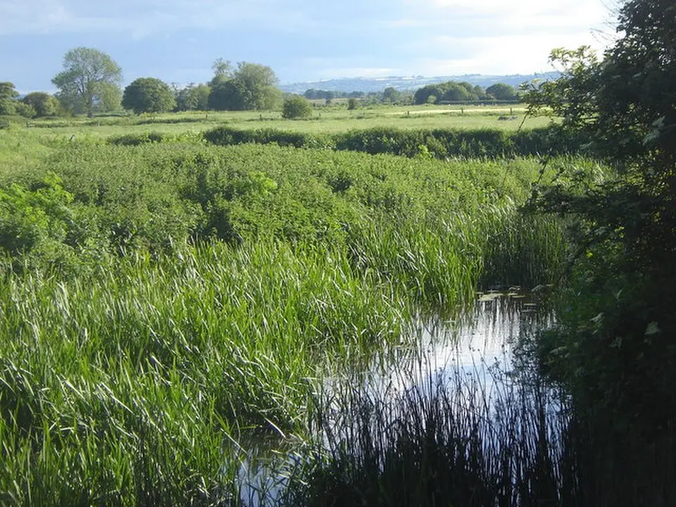 River Isle