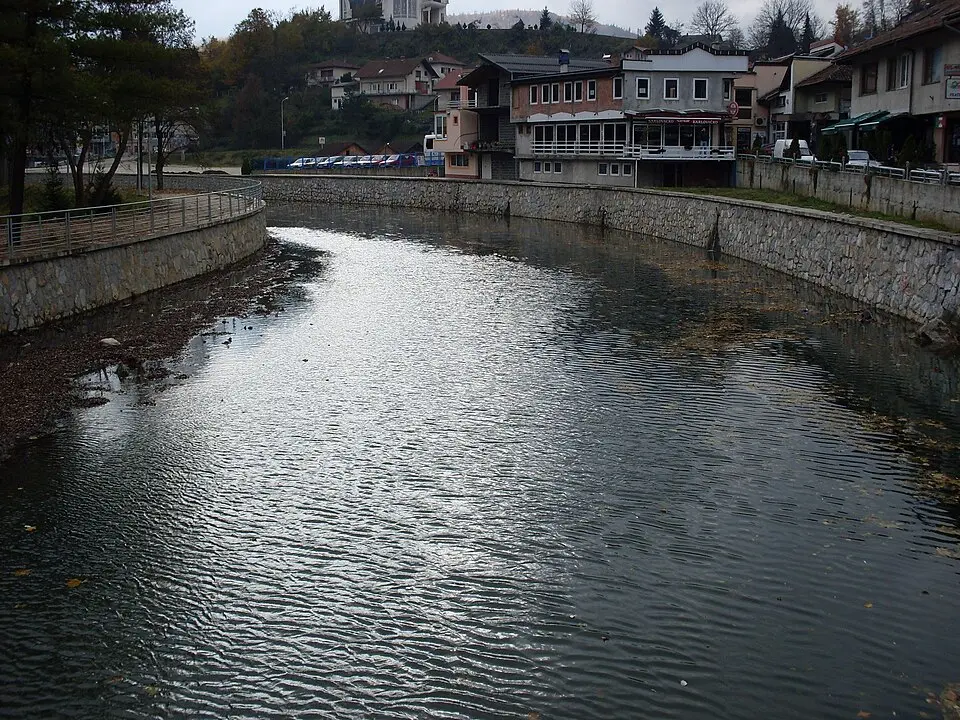 Lepenica