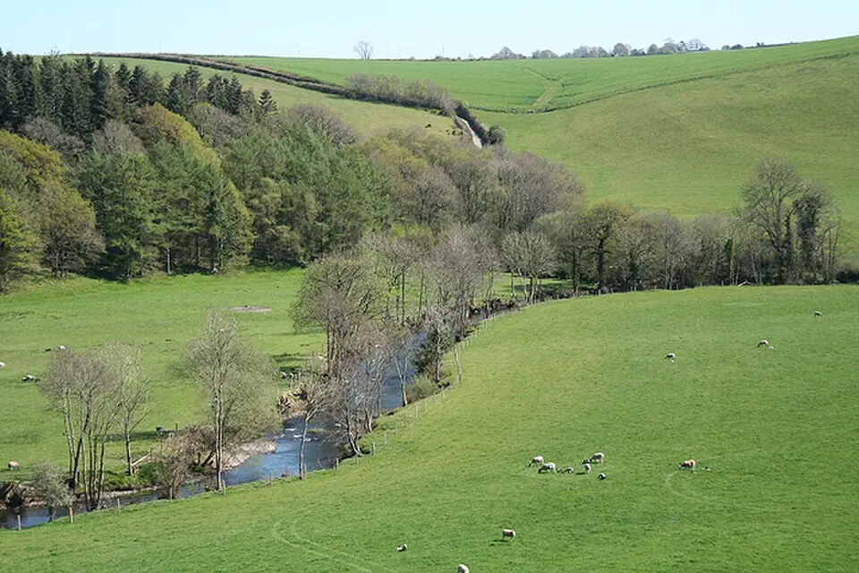 River Mole
