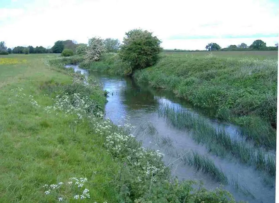 River Ray