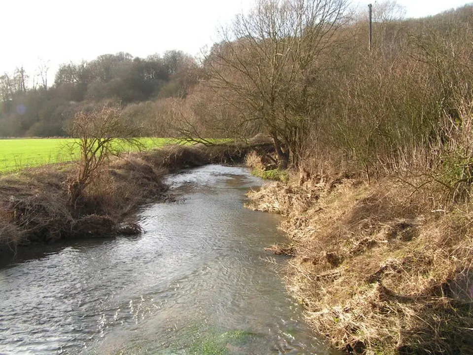 River Rib