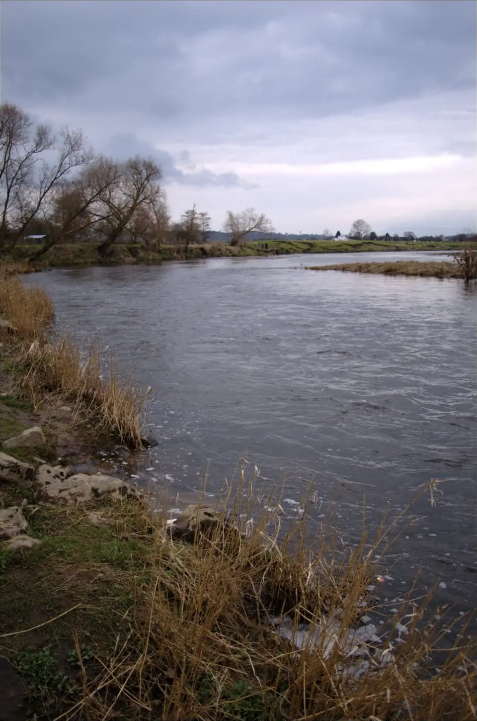 Ribble