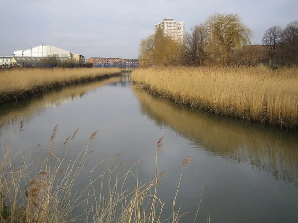 Roding
