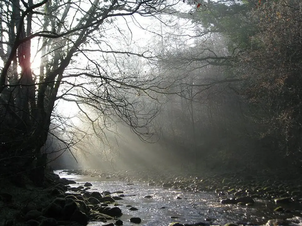 River Roeburn
