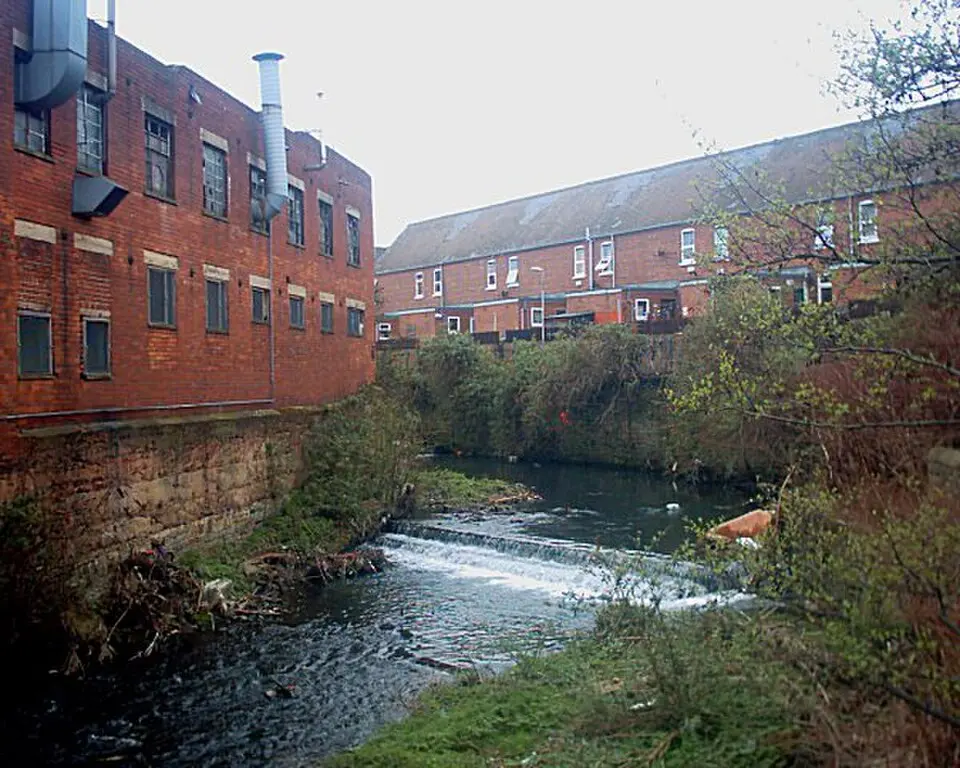 Sheaf