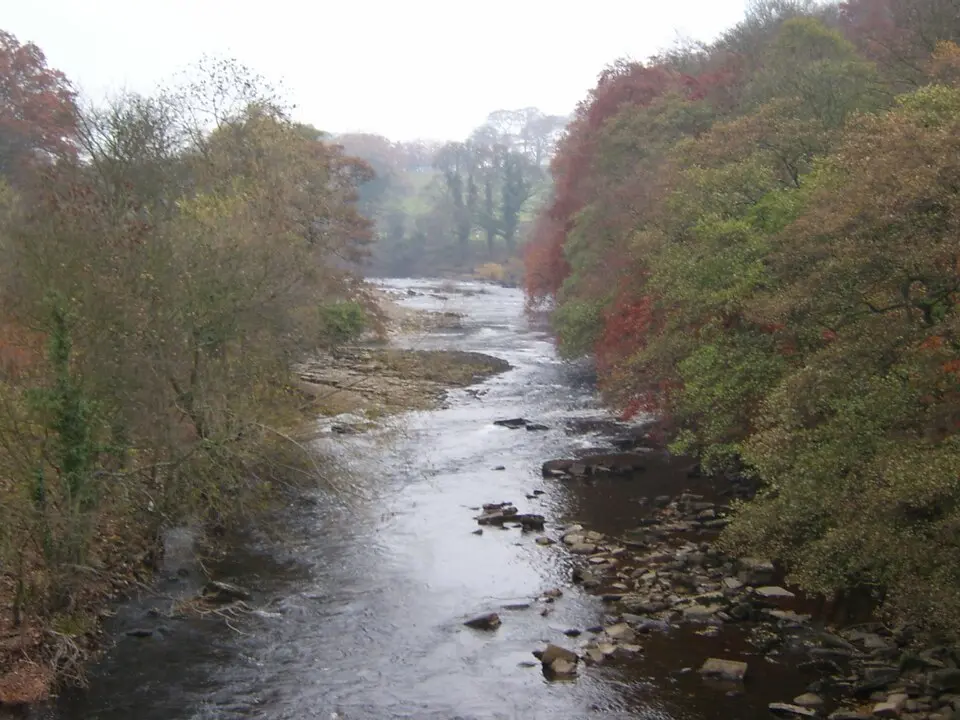 Swale