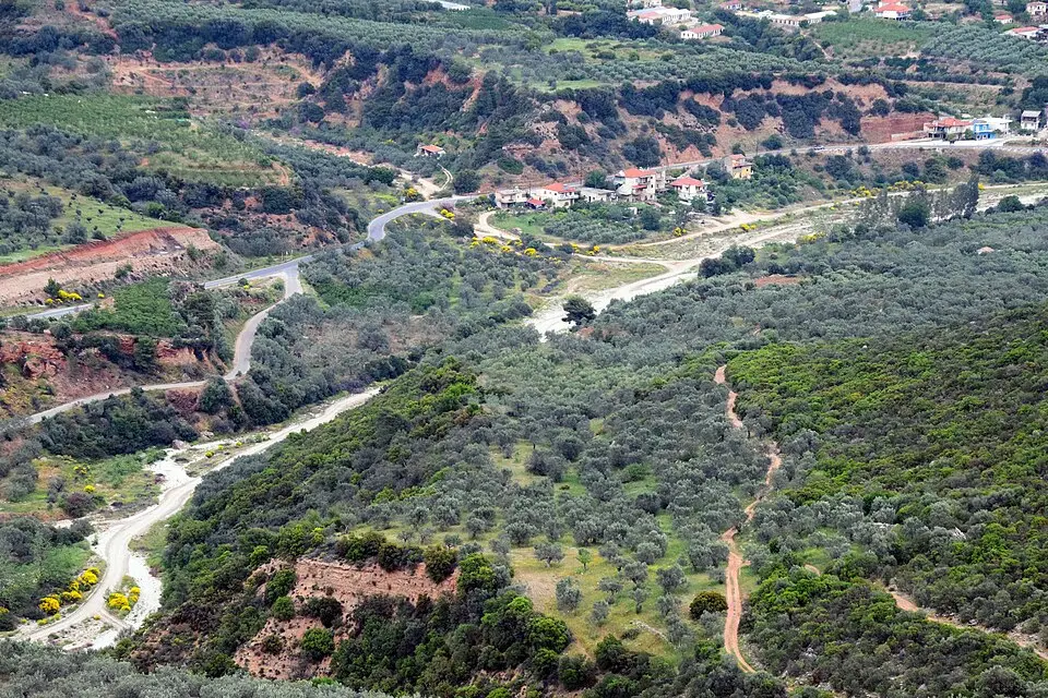 Τάνος