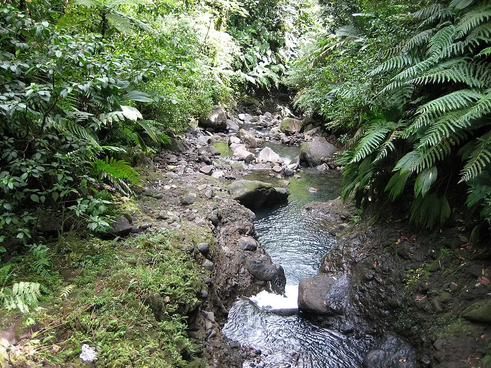 Rivière du Grand Carbet