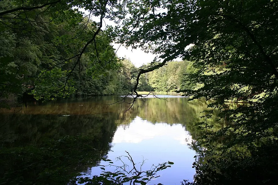 Hahnheide