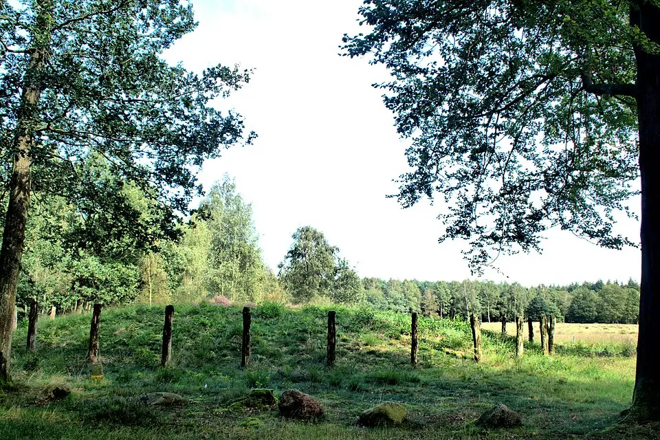 Galgenberg