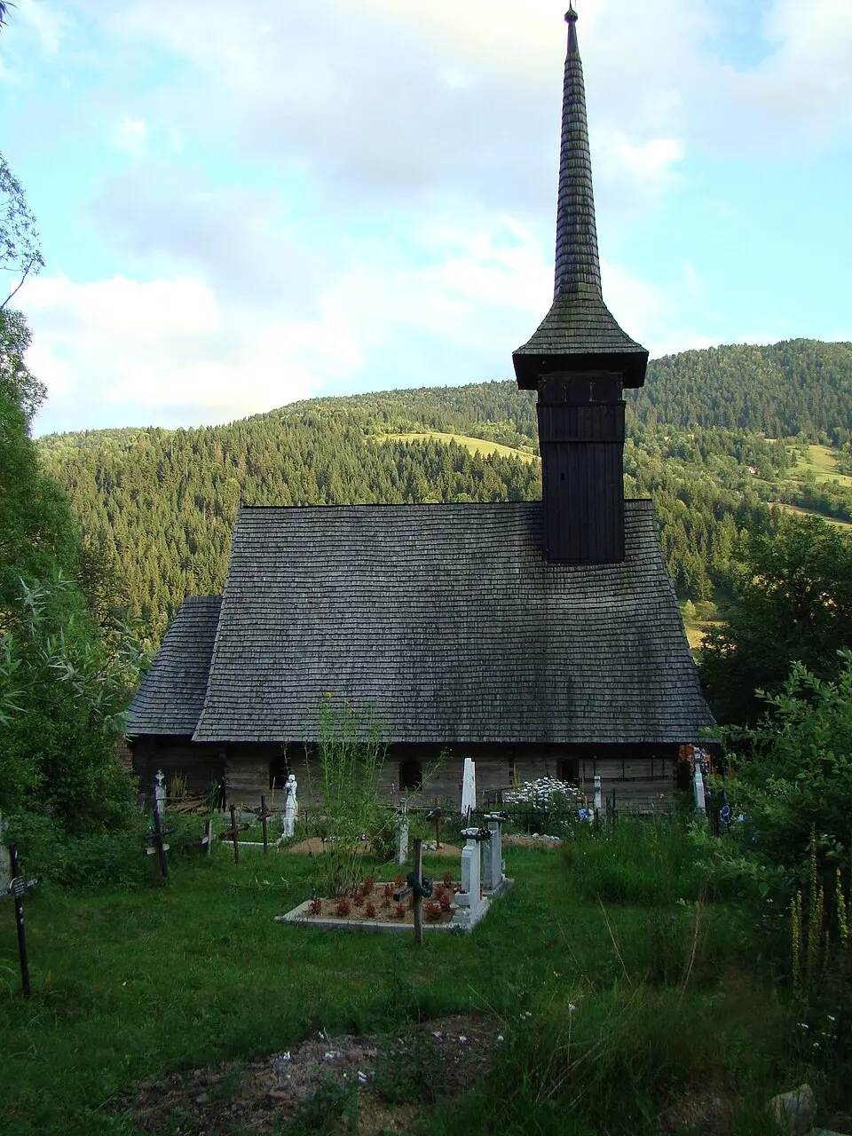Vidra