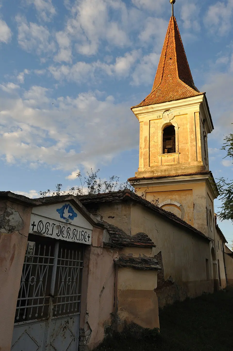 Șona