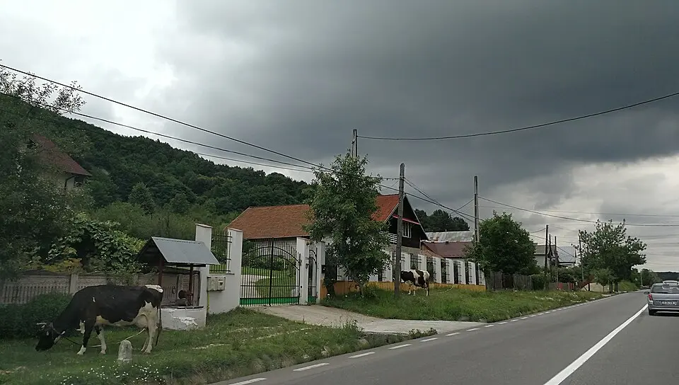 Drăganu