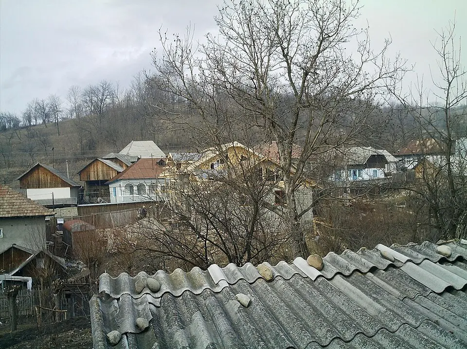 Bârsănești