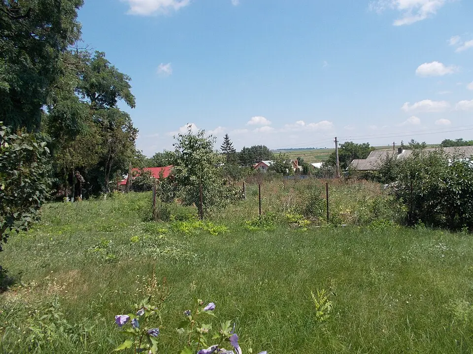 Cristești