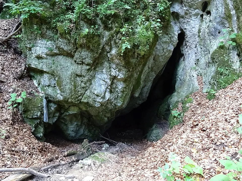 Peștera Râșnoavei