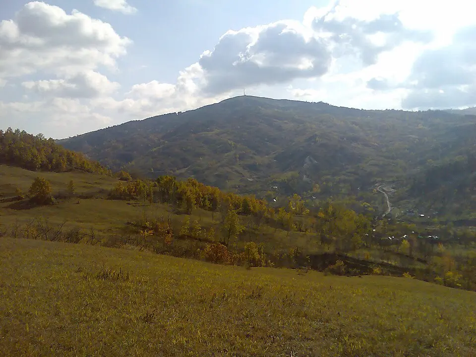 Cănești