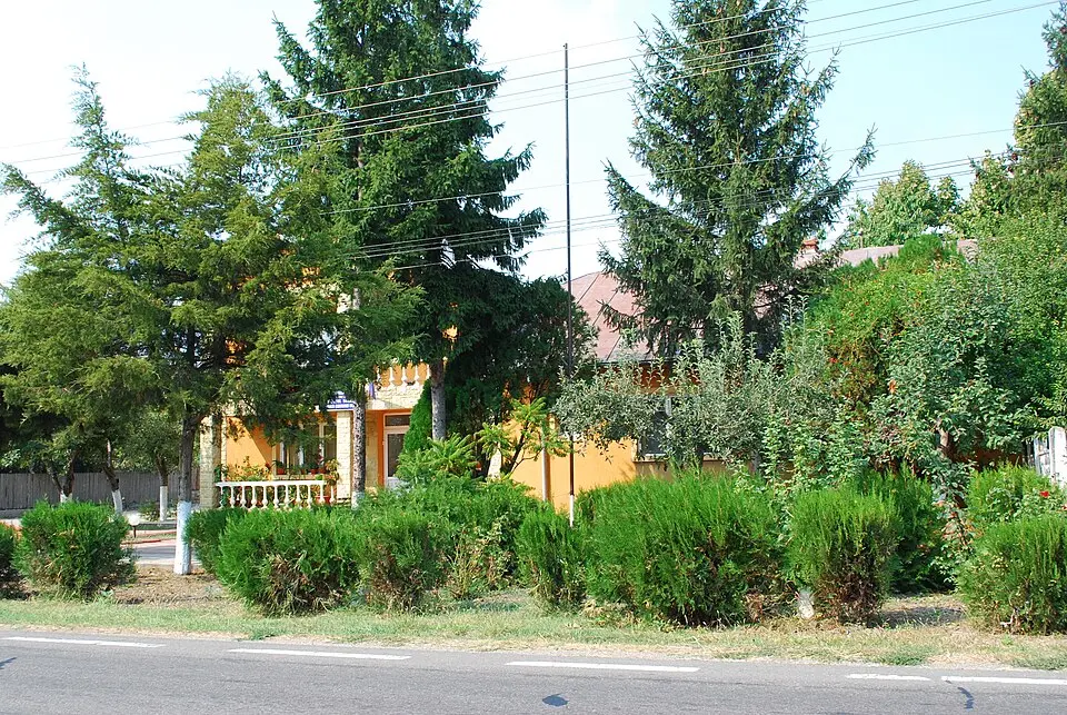 Ulmeni