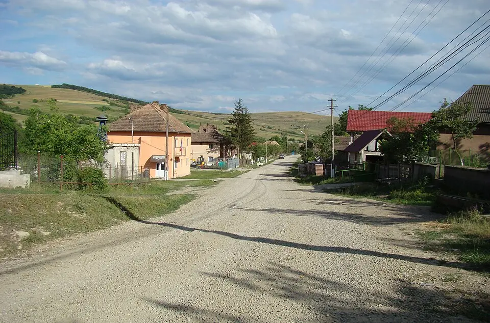 Aluniș
