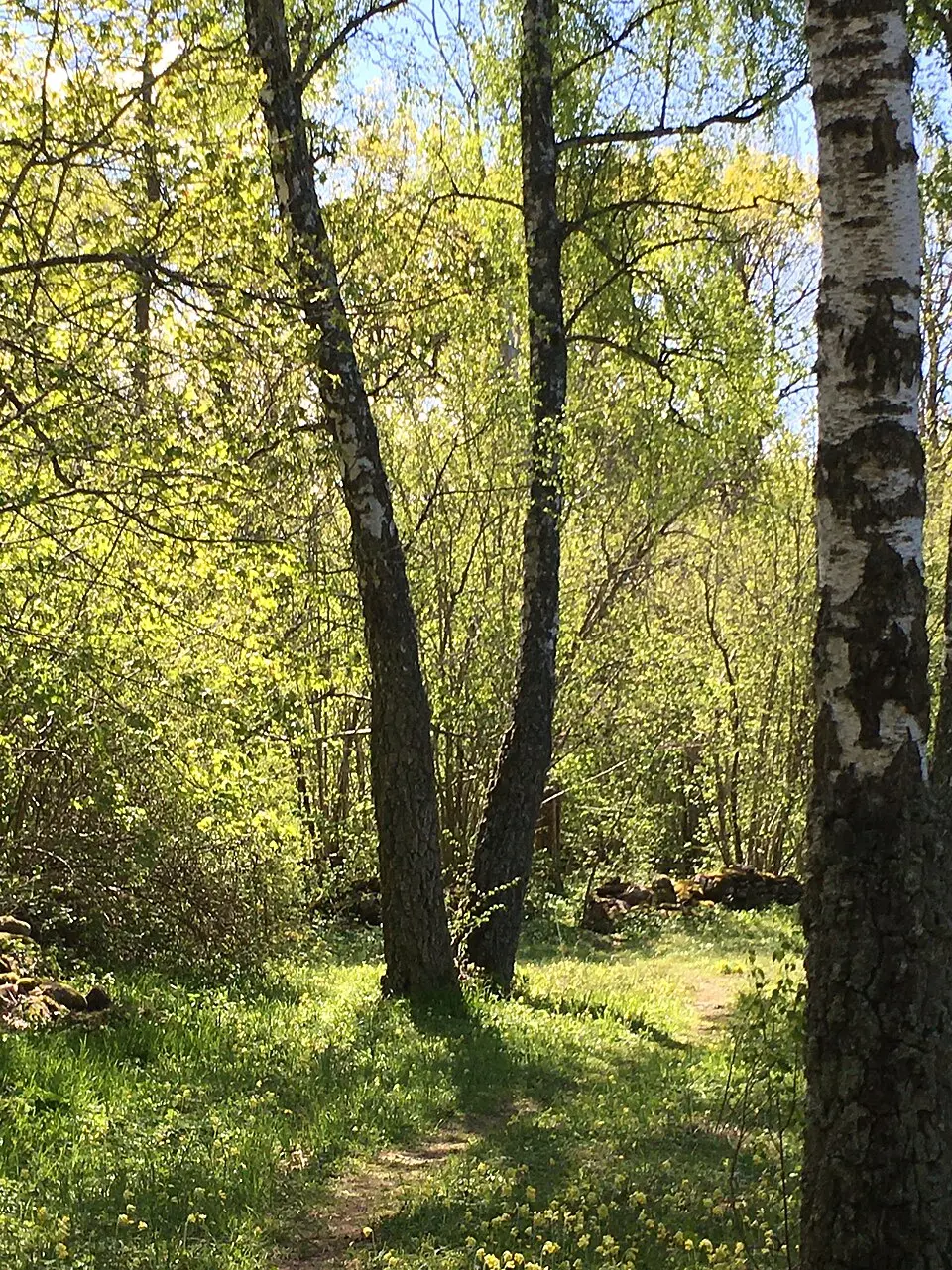 Arontorp