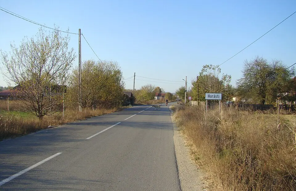 Horăști