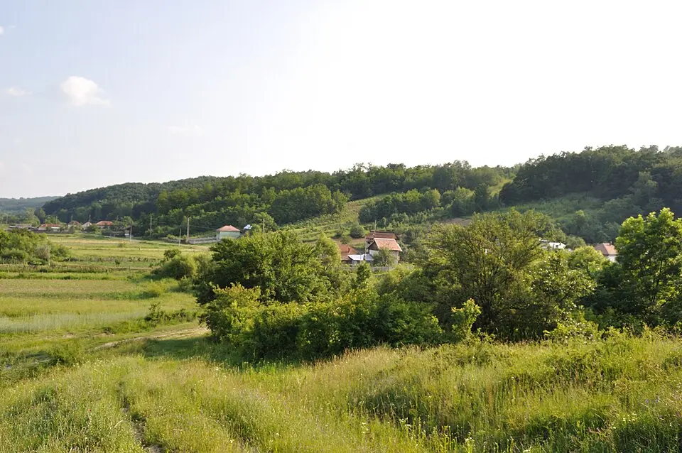 Bild: Utilizator:Țetcu Mircea Rareș at ro.wikipedia · CC BY-SA 2.5 Licurici