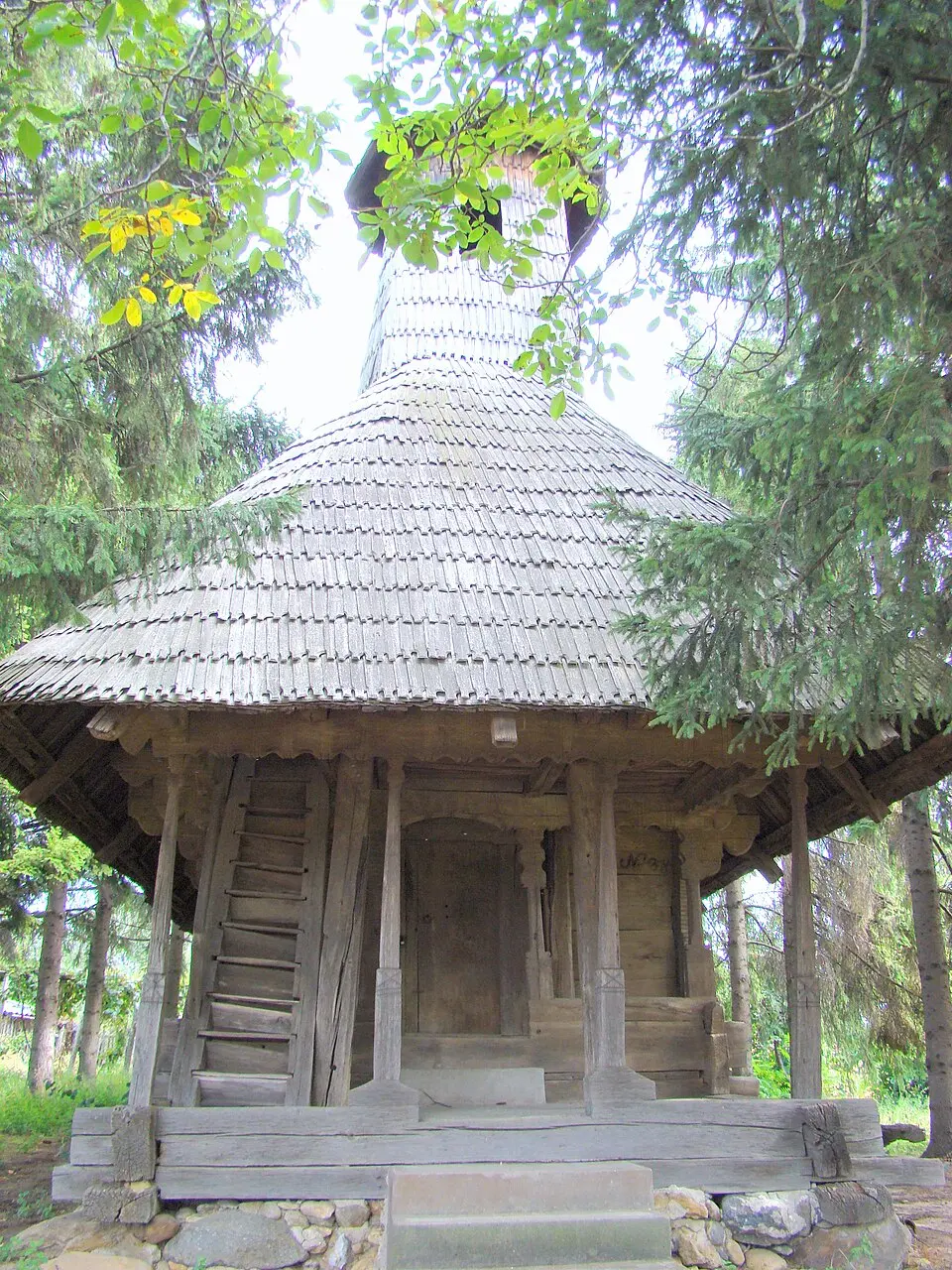 Scoarța