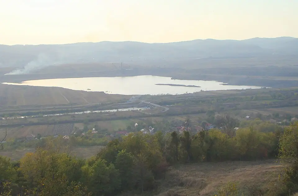 Plopșoru