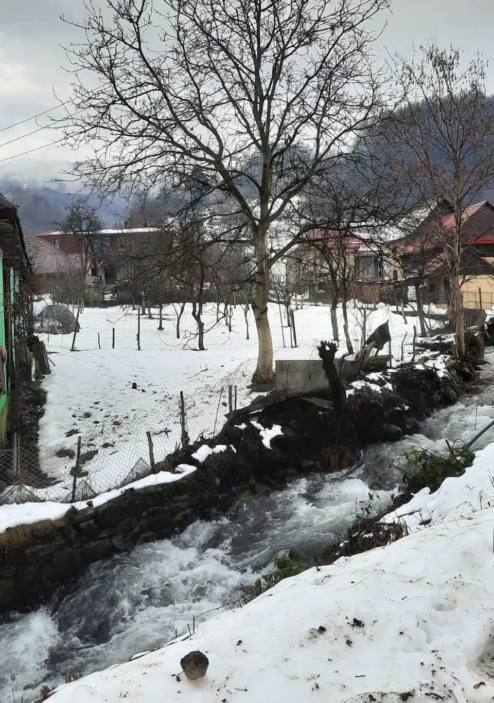 Chiuzbaia