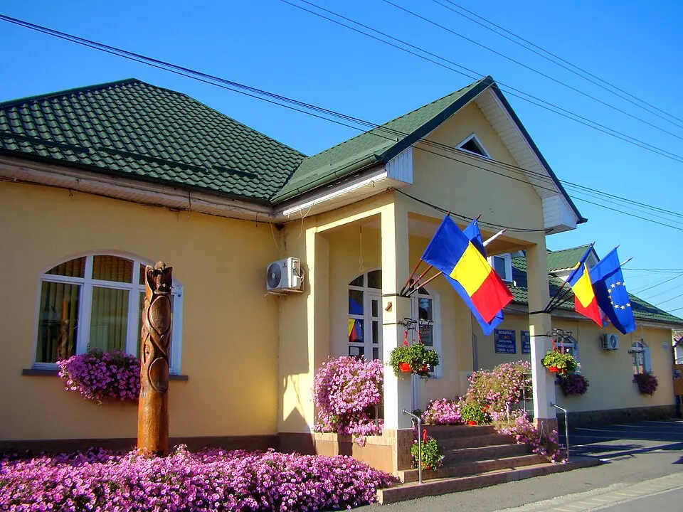 Aluniș
