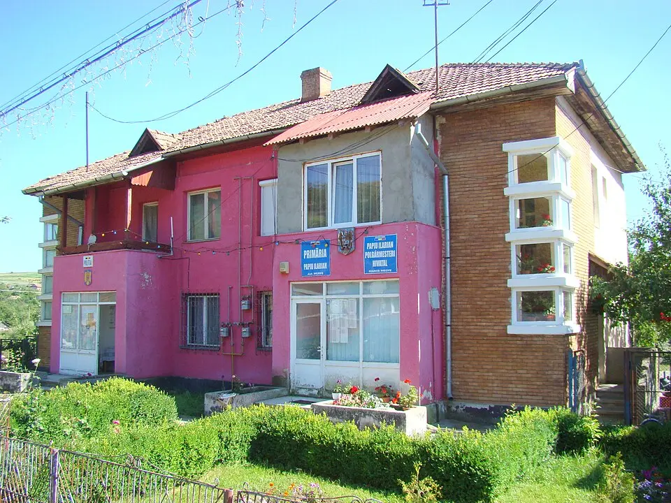 Image: Țetcu Mircea Rareș · CC BY-SA 4.0 Papiu Ilarian