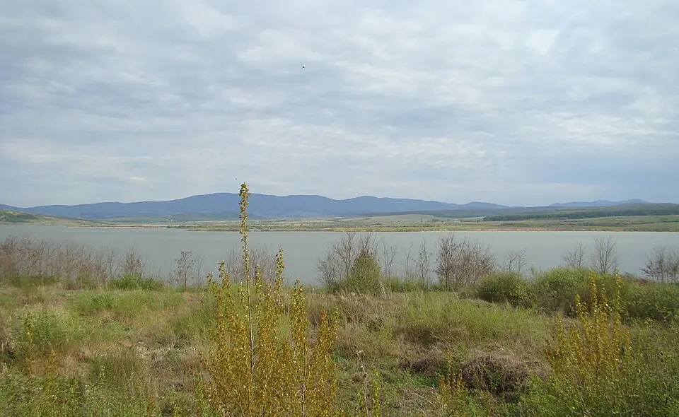Vârșolț