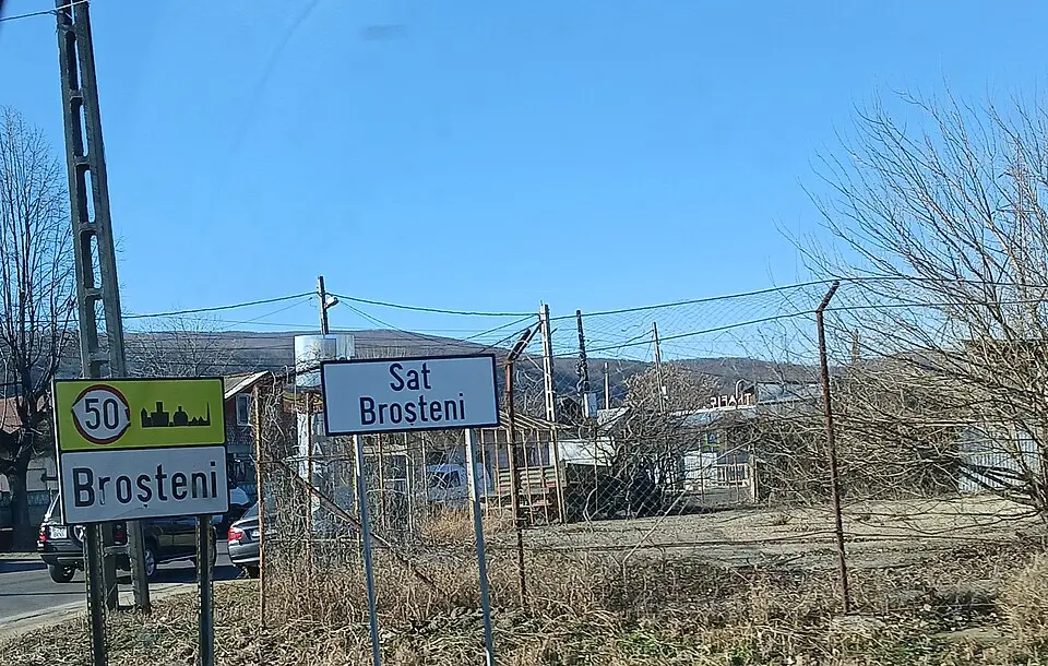 Broșteni