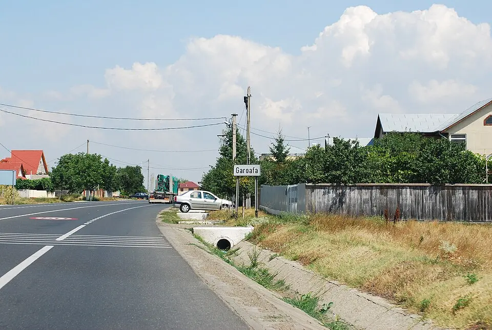Garoafa