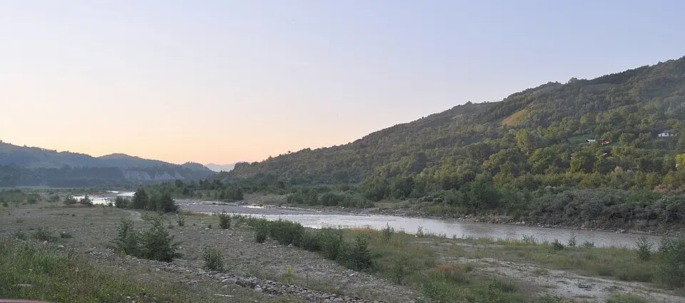 Năruja