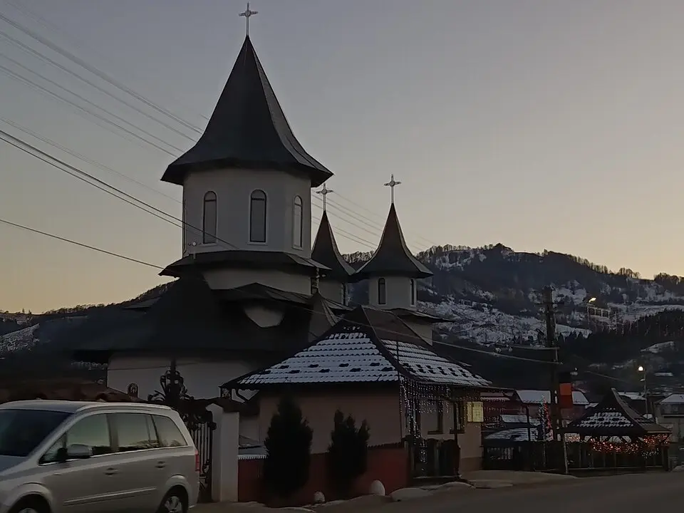Paltin