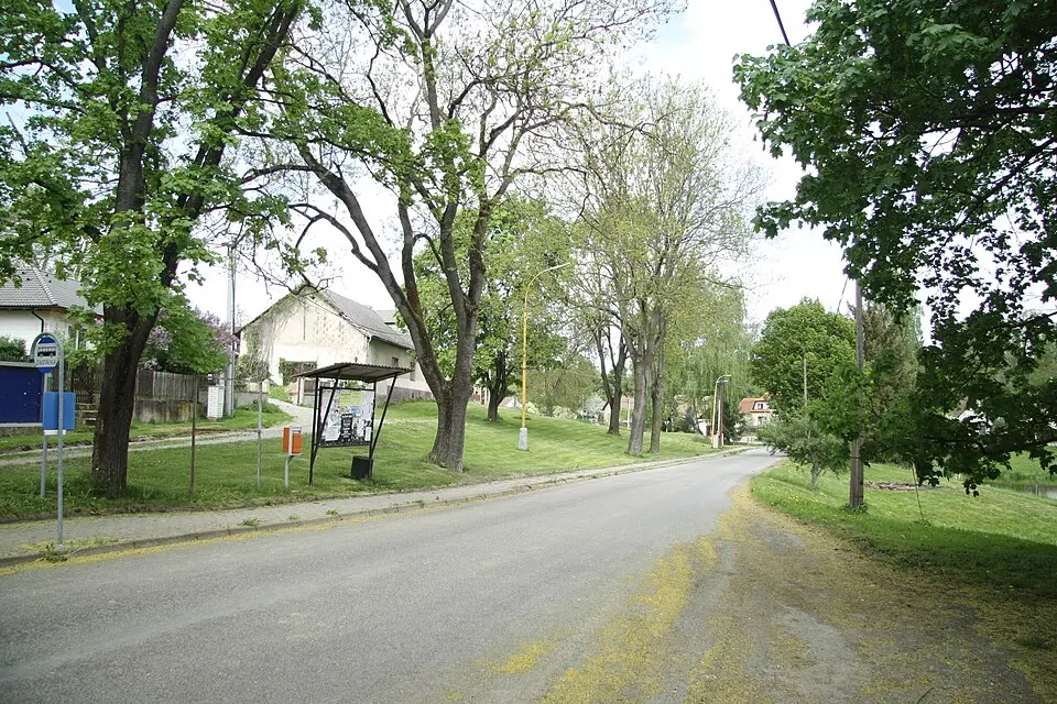 Borovnice