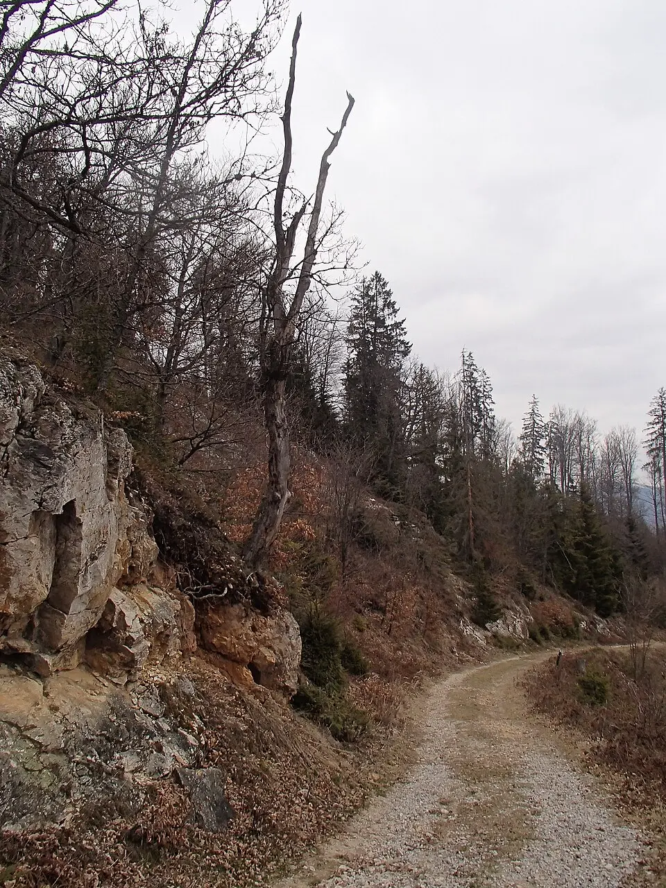 Breznianska skalka